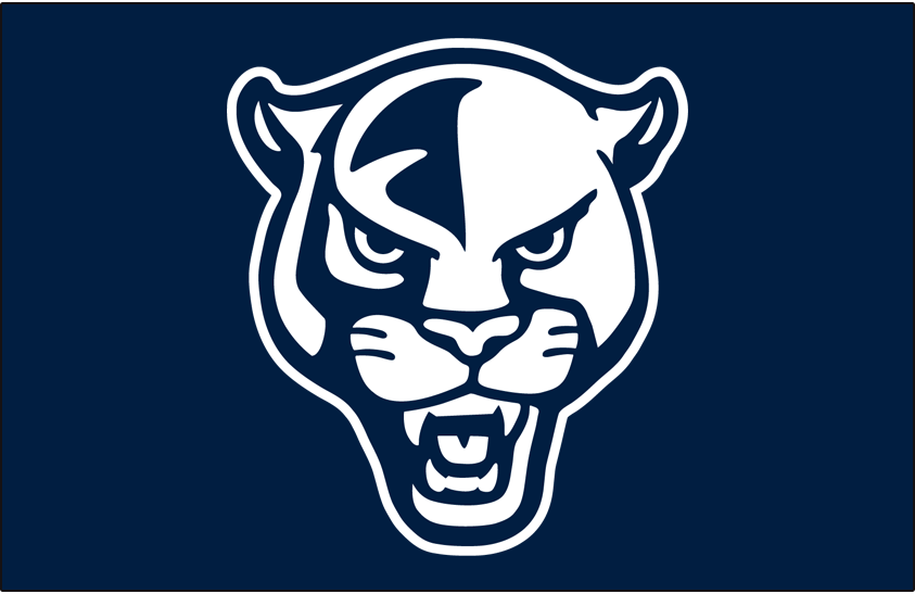 FIU Panthers 2022 Helmet Logo v2 diy iron on heat transfer